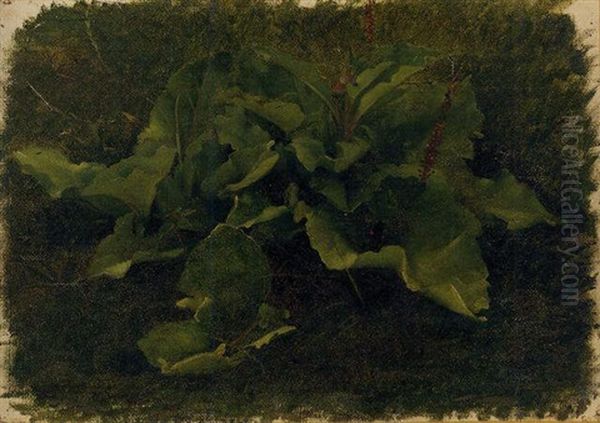 Etudes D'acanthes Oil Painting by Luc-Olivier Merson