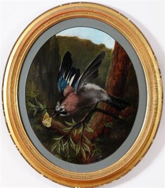 A Jay In A Tree Sighting A Butterfly Oil Painting by Michelangelo Meucci