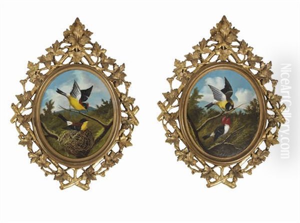 Song Birds Perched On A Branch; And Song Birds Nesting (pair) Oil Painting by Michelangelo Meucci