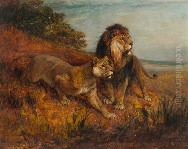 Two Lions In The Savanna Oil Painting by Paul Friedrich Meyerheim