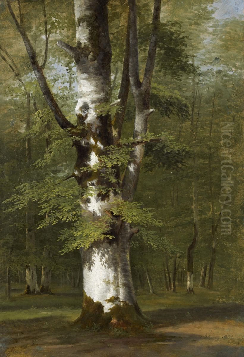 A Study Of A Tree Oil Painting by Achille Etna Michallon