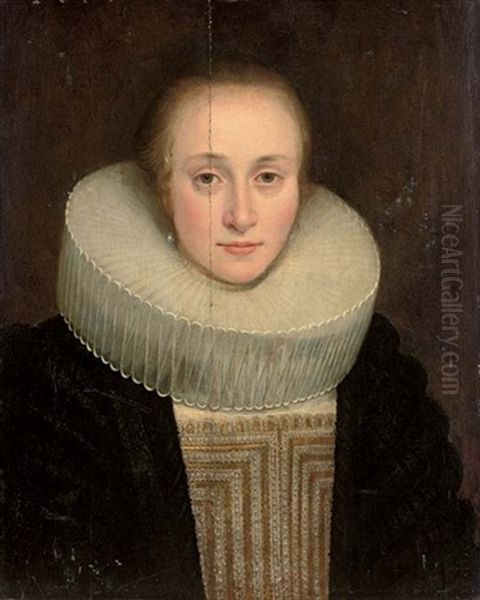 Portrait Of A Lady In A White Ruff Oil Painting by Michiel Jansz. van Mierevelt