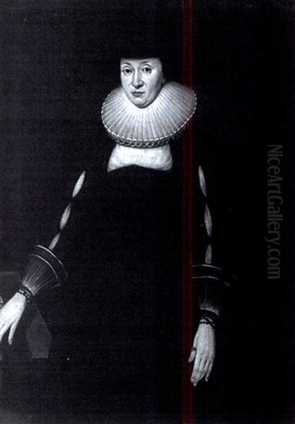 Portrait Of A Lady With White Lace Collar Oil Painting by Michiel Jansz. van Mierevelt