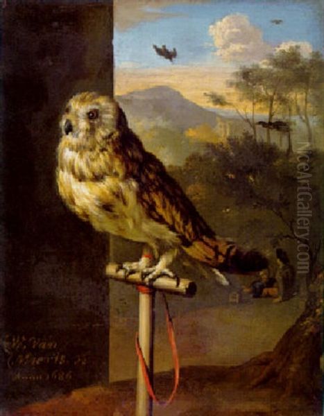 An Owl On A Perch Oil Painting by Willem Van Mieris Leiden