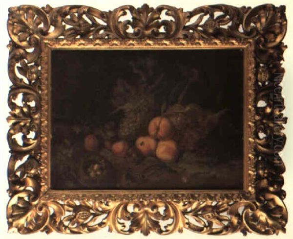 Still Life Of Fruit, Insects, Bird's Nest And Lizard Oil Painting by Abraham Mignon