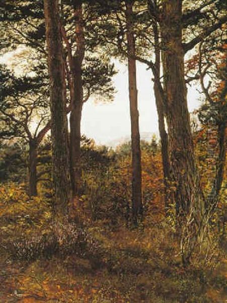 Scotch Firs Oil Painting by Sir John Everett Millais