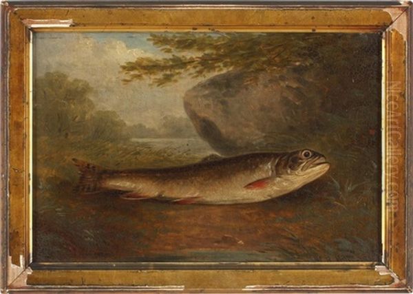A Trout Oil Painting by William Miller