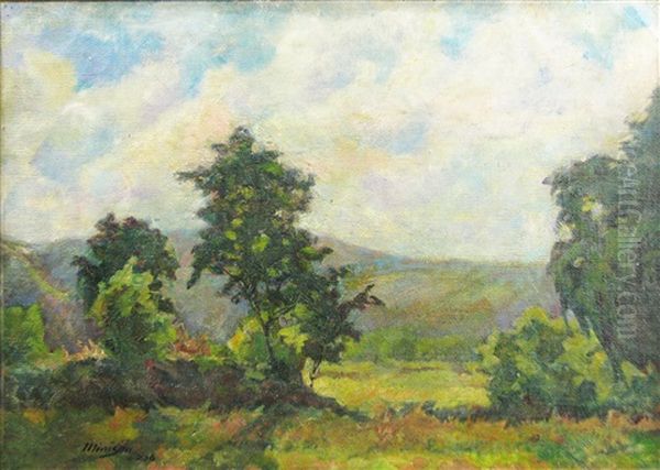 Landsacpe Oil Painting by Cornel Minisan