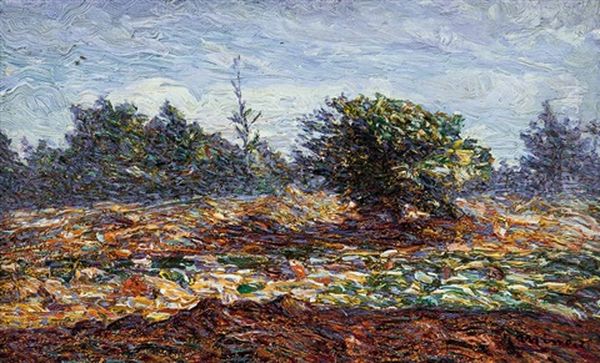 Sole Mattutino Oil Painting by Professor Filiberto Minozzi