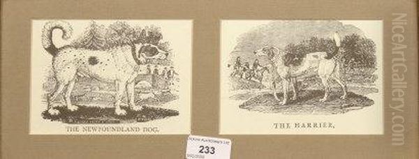 Newfoundland Dog And The Harrier Oil Painting by Thomas Bewick