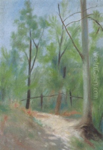 Sonnige Waldlandschaft Mit Pfad Oil Painting by Theo Modespacher