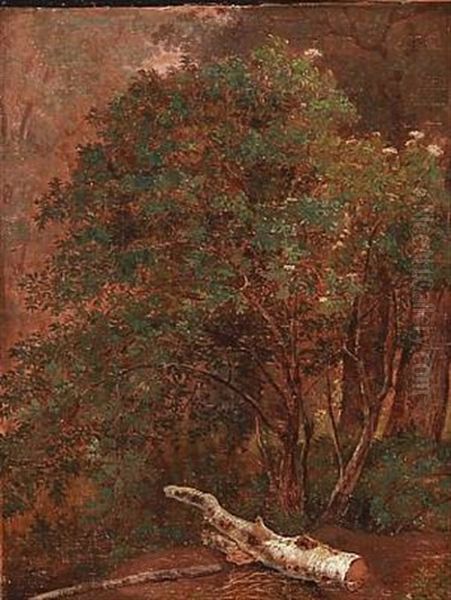 Charlottenlund, Sept. 1820 (forest Scene From Charlottenlund, Denmark) Oil Painting by Jens Peter (I.P.) Moeller