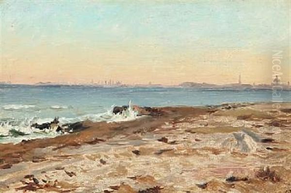 Coastal Scene With A View Towards Copenhagen Oil Painting by Christian Molsted