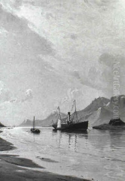 Norsk Fjordparti Med Dansk Dampskib Oil Painting by Christian Molsted