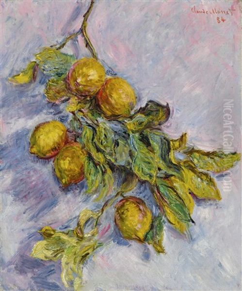 Citrons Sur Une Branche Oil Painting by Claude Oscar Monet