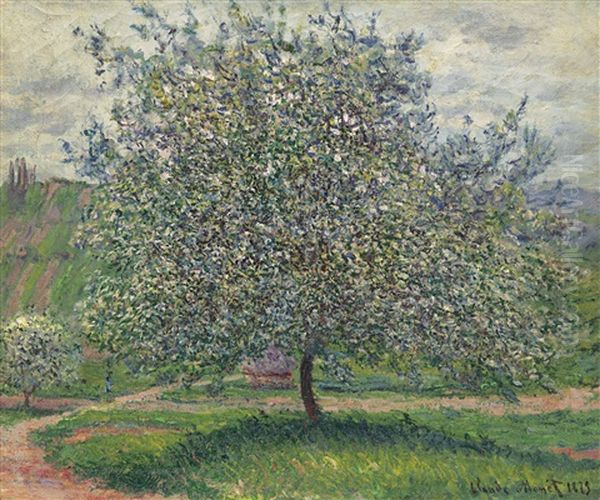 Le Pommier Oil Painting by Claude Oscar Monet