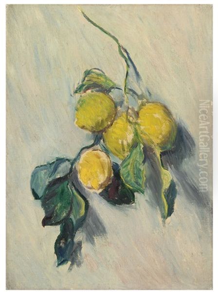 Branche De Citronnier Oil Painting by Claude Oscar Monet