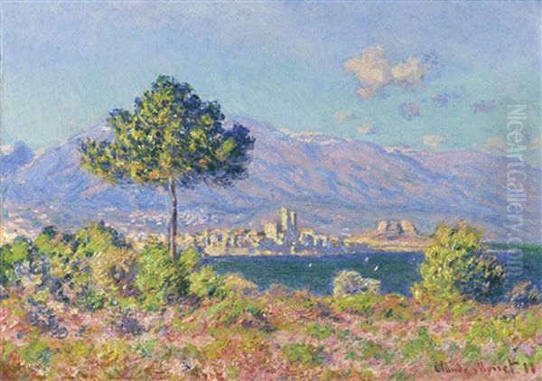 Antibes, Vue Du Plateau Notre-dame Oil Painting by Claude Oscar Monet