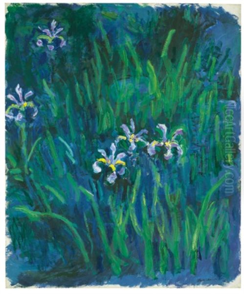 Iris Oil Painting by Claude Oscar Monet