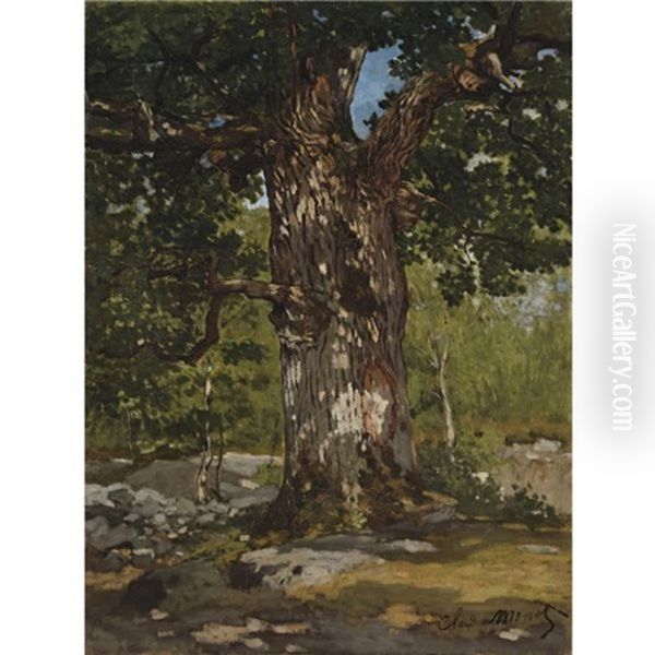 Un Chene Au Bas-breau, Le Bodmer Oil Painting by Claude Oscar Monet