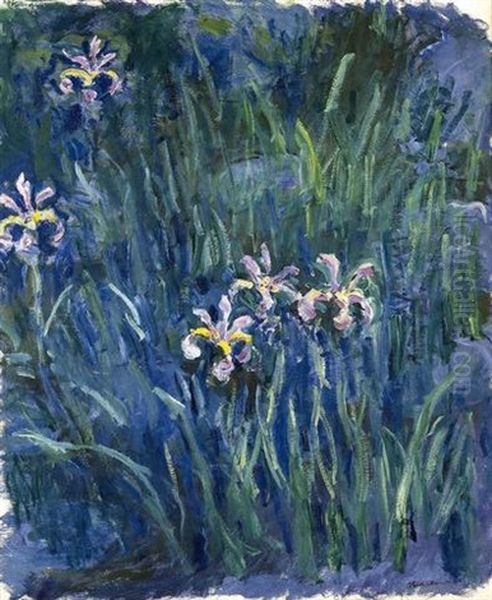 Iris Oil Painting by Claude Oscar Monet