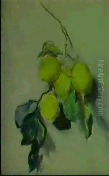 Branche De Citronnier Oil Painting by Claude Oscar Monet