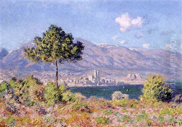 Antibes, Vue De Plateau Notre-dame Oil Painting by Claude Oscar Monet