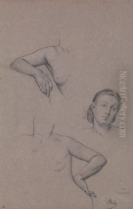 Feuille D'etudes De Bustes, Bras Et Tete Oil Painting by Alexandre Bida