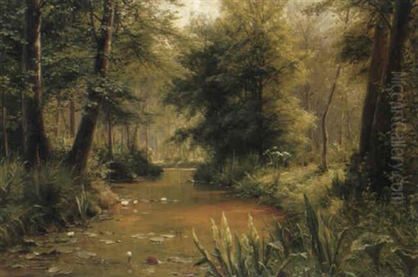 Fluss In Waldlandschaft Oil Painting by Walter Moras