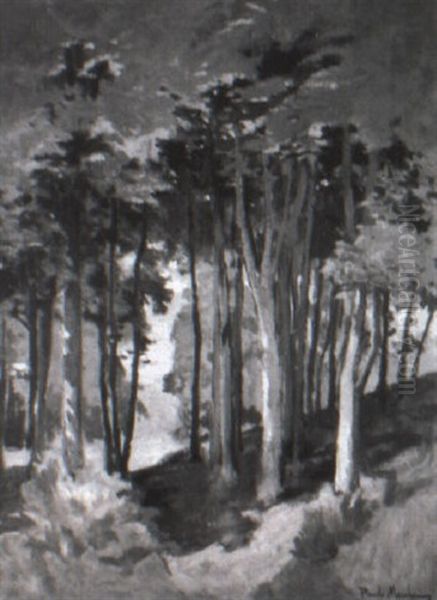 Sous-bois Aux Plomarch Oil Painting by Paul Morchain