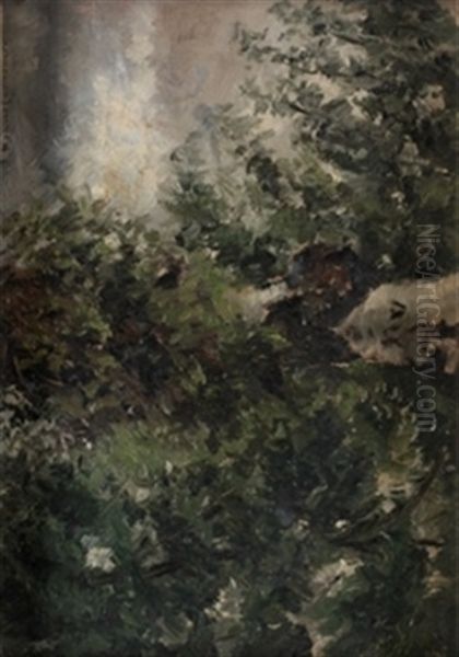 Boceto De Naturaleza Oil Painting by Jose Moreno Carbonero