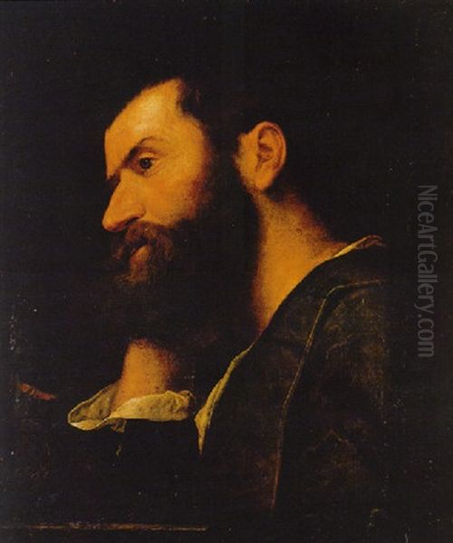 Retrato De Un Hombre (el Poeta Pietro Aretino?) Apoyando Su Cabeza Sobre La Mano Derecha Oil Painting by Alessandro Bonvicino (Moretto da Brescia)
