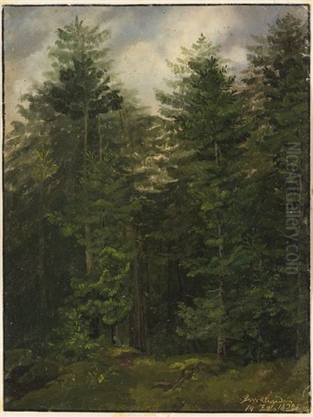 Tannenwald Bei Berchtesgaden Oil Painting by Christian Bernhard Morgenstern