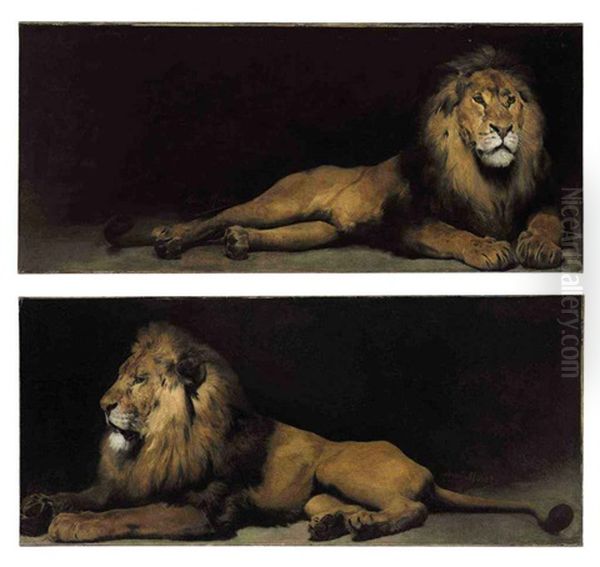 Reclining Lions (pair) Oil Painting by Aime-Nicolas Morot