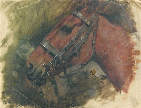 Tete De Cheval Au Harnais Oil Painting by Aime-Nicolas Morot