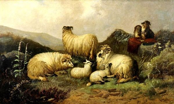Sheep In The Highlands Oil Painting by William Bright Morris