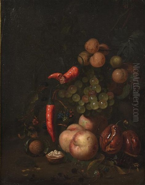 Grapes, Plums, Peaches And Walnuts Oil Painting by Jan Mortel