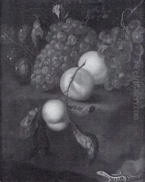 Weintrauben, Pfirsiche Und Pflaumen Sind Auf Einem Sockel Drappiert Oil Painting by Jan Mortel
