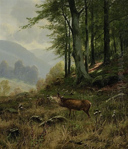 Rohrender Hirsch Am Waldrand Oil Painting by August Moetsch