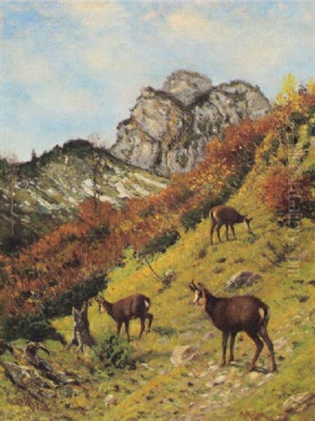 Gemsen Im Hochgebirge Oil Painting by Moritz Mueller the Elder