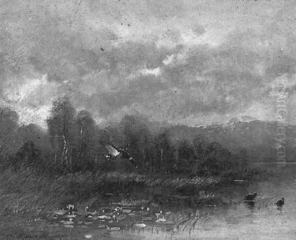 Voralpenlandschaft Mit Wildenten Oil Painting by Moritz Mueller the Younger