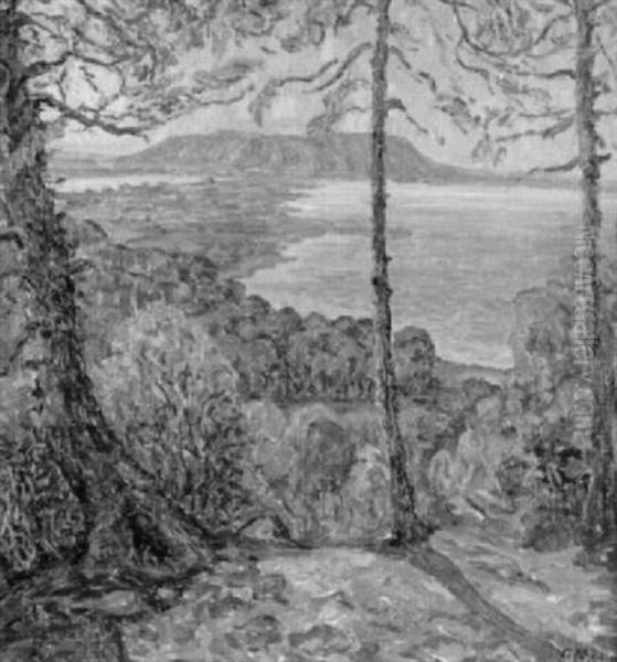 Landschaft Am Bielersee Oil Painting by Alfons Muller