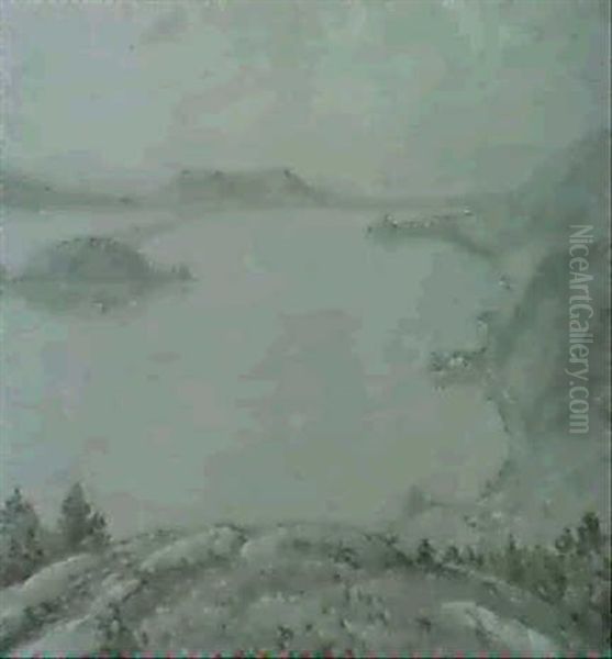Blick Auf Den Bielersee Und Die Petersinsel Oil Painting by Alfons Muller
