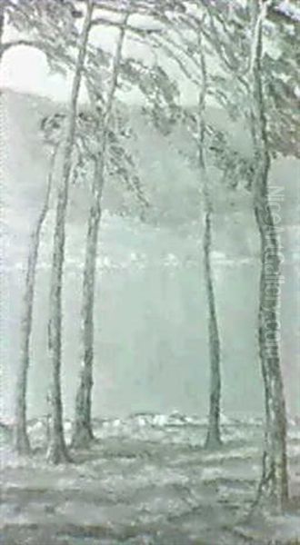 Vorfruhling Am Bielersee Oil Painting by Alfons Muller