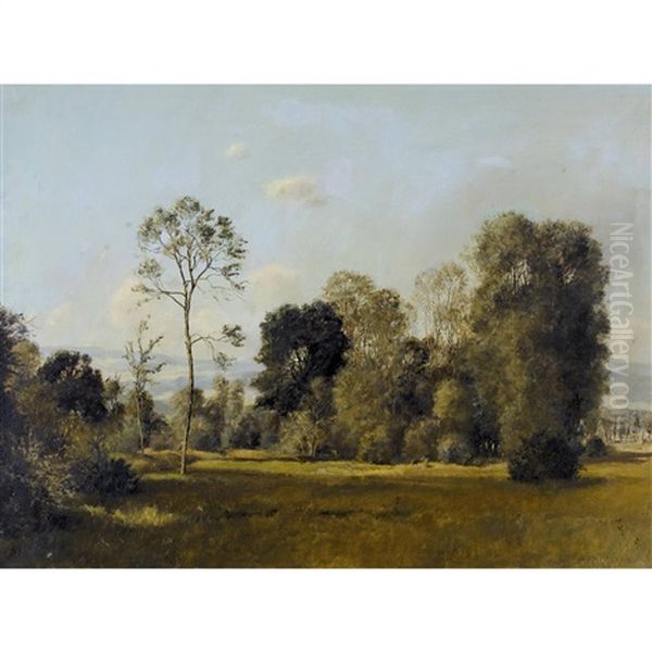 Sommerlicher Waldrand Oil Painting by Rudolf Mueller