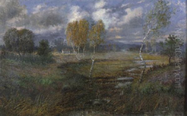 Herbstliche Moorlandschaft In Oberbayern Oil Painting by Carl Mueller-Baumgarten