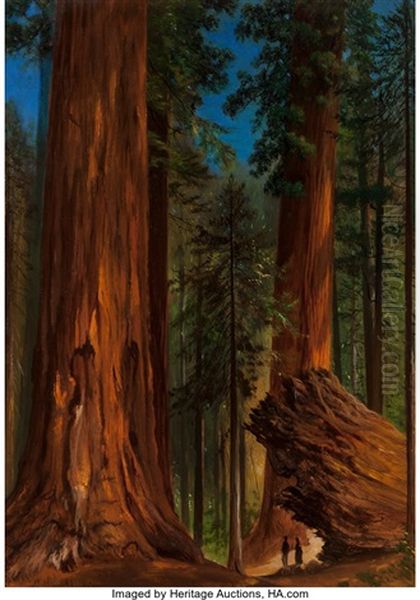 Redwood Forest, Yosemite Valley Oil Painting by Gilbert Davis Munger