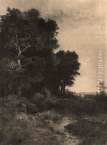 Driving Cattle On A Woodland Path Oil Painting by Leopold Munsch