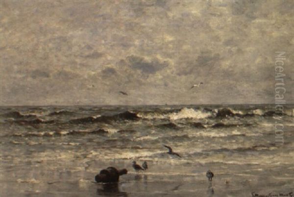 Seagulls In The Breakers Oil Painting by Gerhard Arij Ludwig Morgenstje Munthe