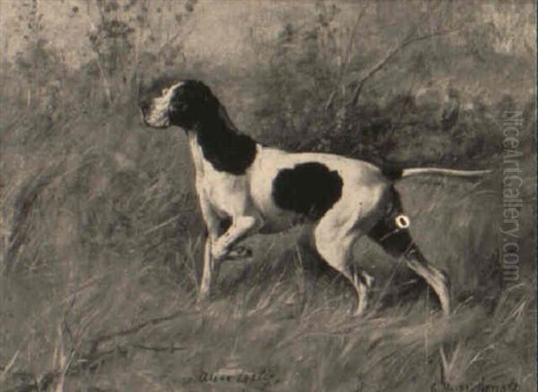 Champion Devonshire Dan Oil Painting by Gustav Muss-Arnolt